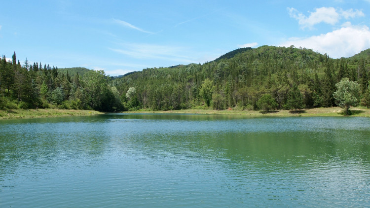 See und bewaldetes Ufer