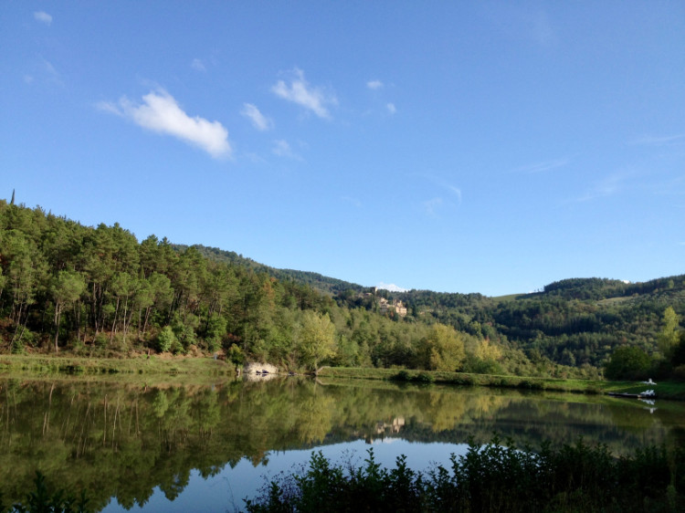 See und bewaldetes Ufer