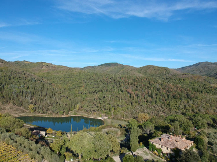 Wald mit See beim Landgut