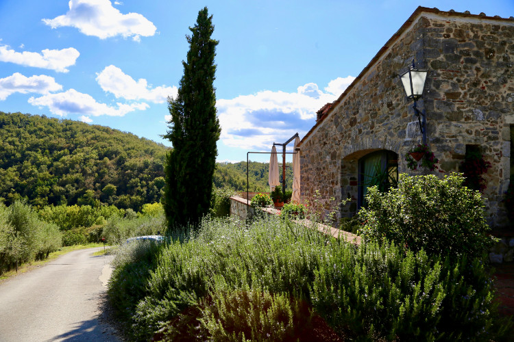 Haus mit Pappeln und Wald