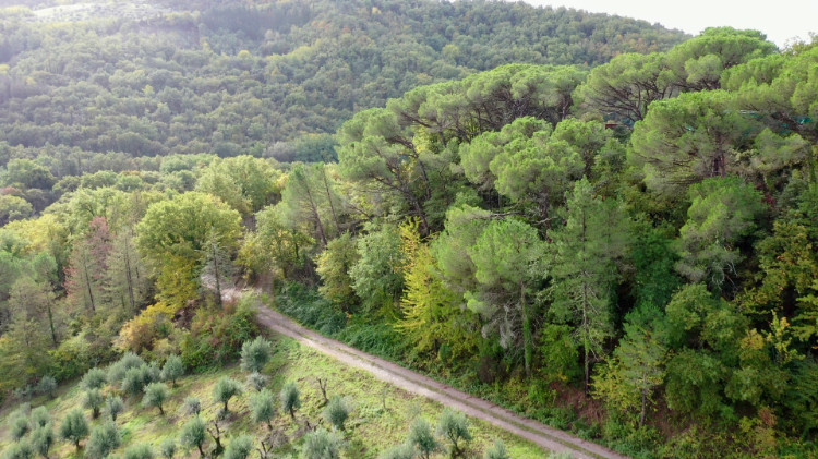 Wals mit kleiner Strasse